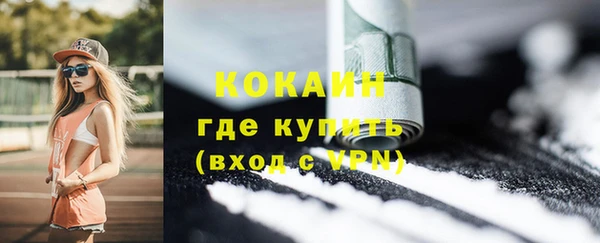 гидра Аркадак
