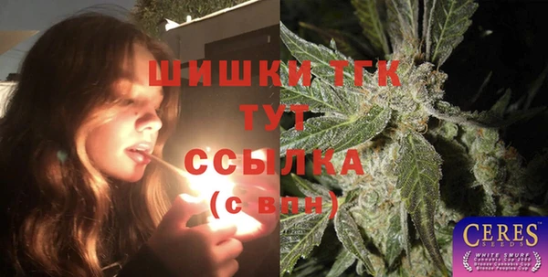гидра Аркадак