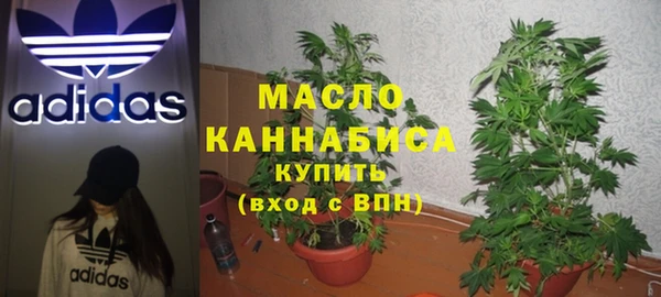 гидра Аркадак